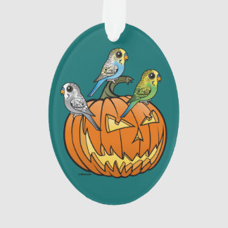 Adorno Jack O'Budgies