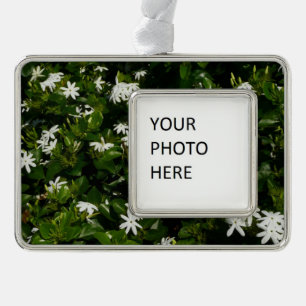 Adorno Jazmín Flores Tropicales Florales Botánicas