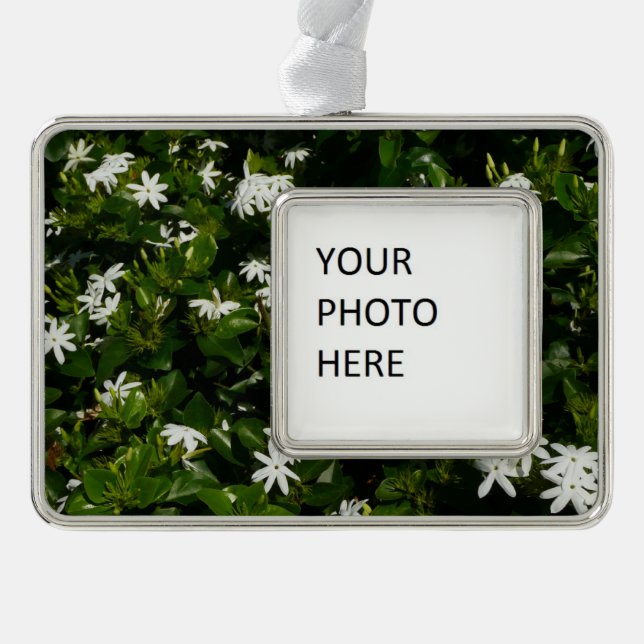 Adorno Jazmín Flores Tropicales Florales Botánicas (Anverso)