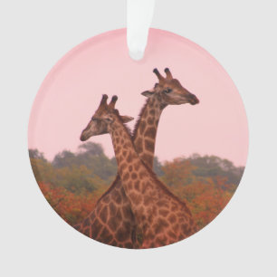 Adorno jirafas con cielo rosa