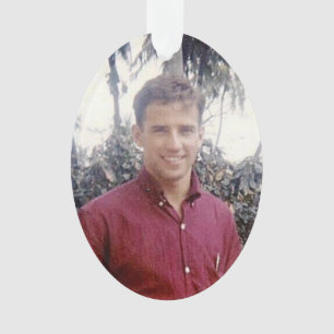 Adorno Joe Biden joven estilizado caliente