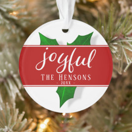 Adorno Jugoso guión moderno Holly Berry Plant