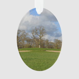 Adorno Juguemos al golf