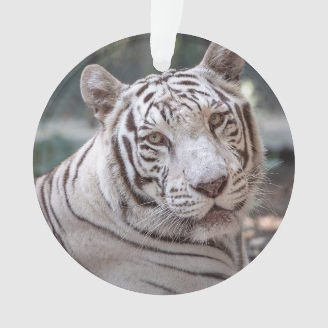 Adorno Karma - (Anverso)