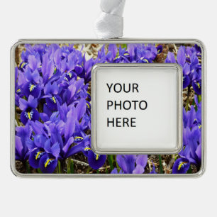 Adorno Katherine Hodgkin Iris Purple Spring Floral