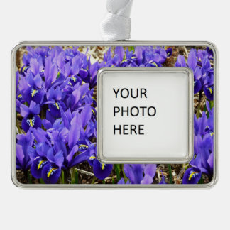 Adorno Katherine Hodgkin Iris Purple Spring Floral