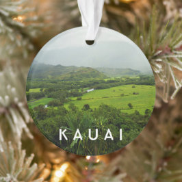 Adorno Kauai, Paisaje Hawaii 2 Foto y texto