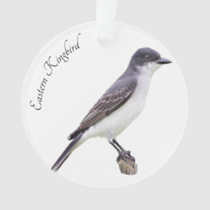 Adorno Kingbird
