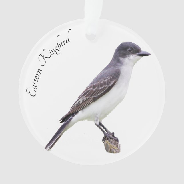 Adorno Kingbird (Anverso)