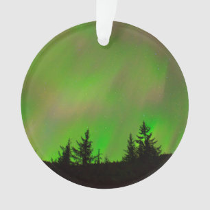 Adorno La aurora boreal de Juneau