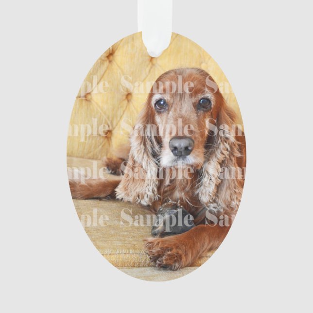 Adorno La foto conmemorativa del mascota PERSONALIZA (Anverso)