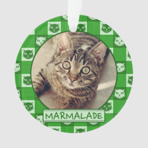 Adorno La guinga verde linda del gatito del gato añade