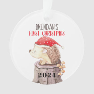Adorno La primera Navidad de Hedgehog Baby