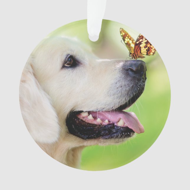 Adorno Labrador And Butterfly Throw Pillow (Anverso)