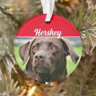 Adorno Labrador de chocolate con Navidades de nombre y fo
