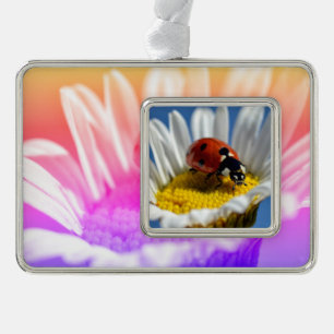 Adorno Lady bug en daisy Mug Mouse Pad Posters Navidades
