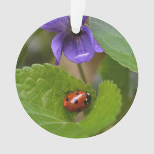 Adorno Ladybug sobre las dulces flores violetas
