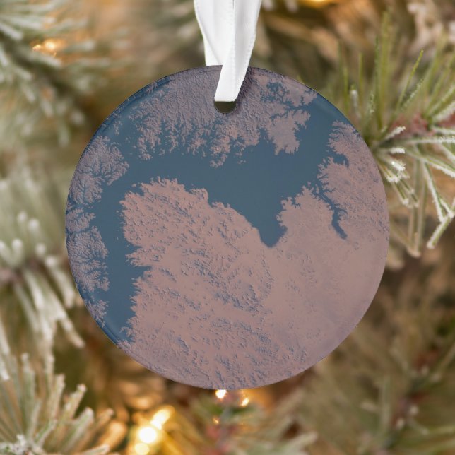 Adorno Lago Nasser (Árbol)