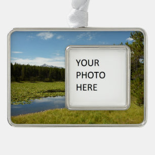 Adorno Lago Swan I en el Parque Nacional de Grand Teton