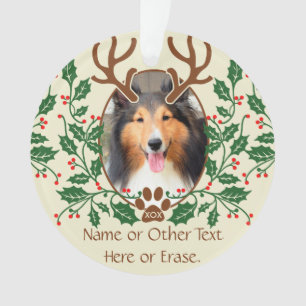 Adorno Las astas del navidad para el perro/el gato