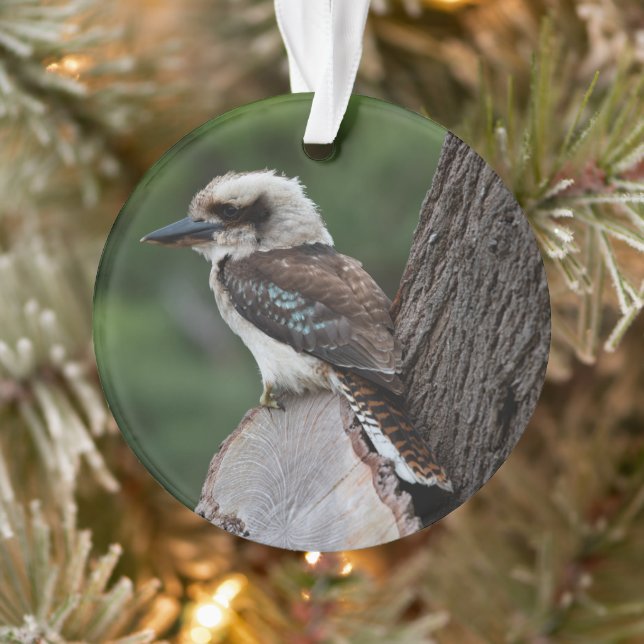 Adorno Laughing Kookaburra Bird Animal Tree (Árbol)