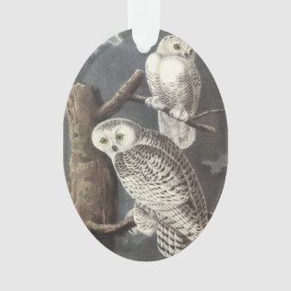 Adorno Lechuza de nieve por Audubon