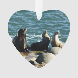 Adorno Leones del mar de San Diego