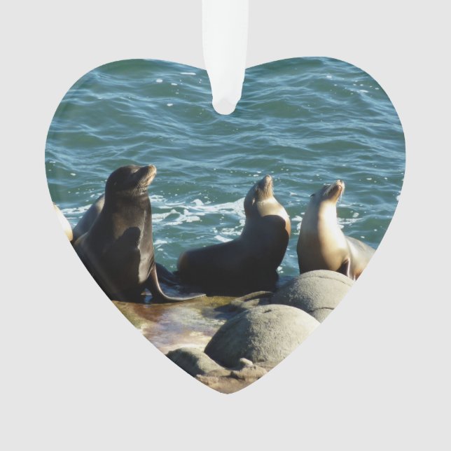 Adorno Leones del mar de San Diego (Anverso)