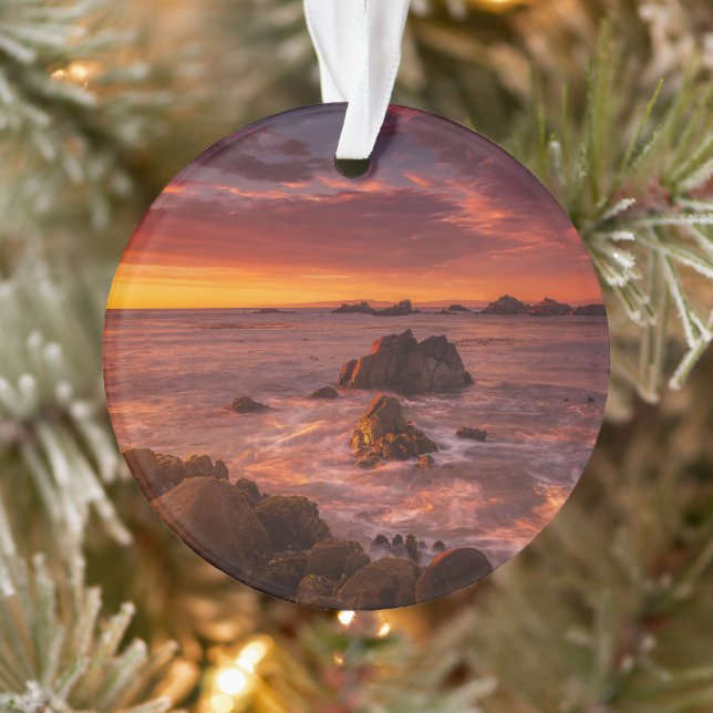 Adorno Línea costera | Sunset Pacific Grove Carmel Califo (Árbol)