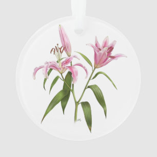 Adorno Lirio Oriental - Stargazer