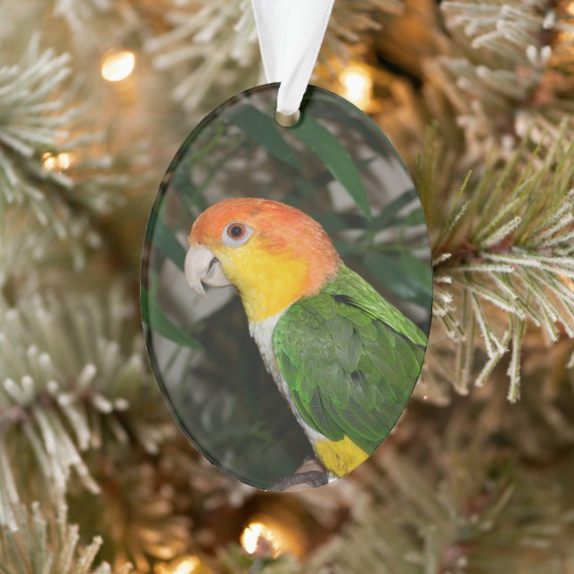 Adorno Loro Caique blanco con vientre y árbol de bambú (Árbol)