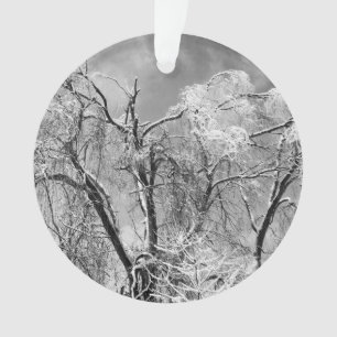 Adorno los árboles llevan invierno