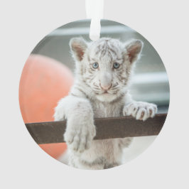 Adorno Los niños pequeños -