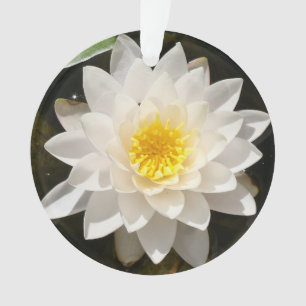 Adorno Loto de Nenúfar Blanco Flotante