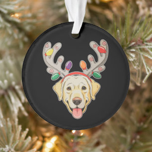 Adorno Luces de Navidad de Cuerno de Reno para Perro Labr