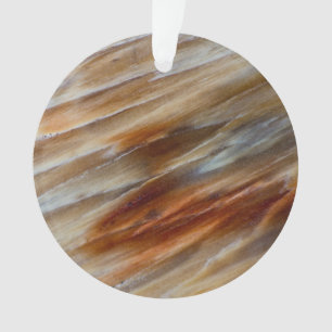 Adorno Madera Petrificada Dentada