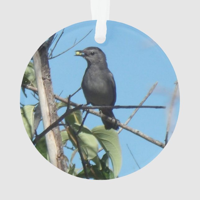 Adorno Madre pájaro recoge Berries para sus bebés aliment (Reverso)