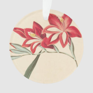 Adorno Maíz-Bandera magnífica