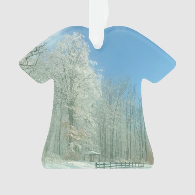 Adorno mañana de invierno (Anverso)