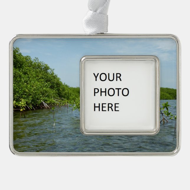 Adorno Manglares bebés en el Caribe (Anverso)