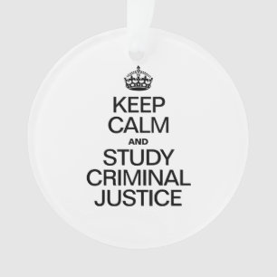 ADORNO MANTENER LA CALMA Y ESTUDIAR LA JUSTICIA PENAL
