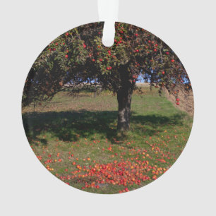 Adorno Manzano Viejo