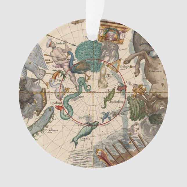 Adorno Mapa del vintage de South Pole (Anverso)
