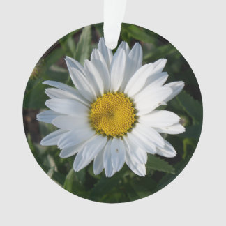 Adorno Margarita blanca