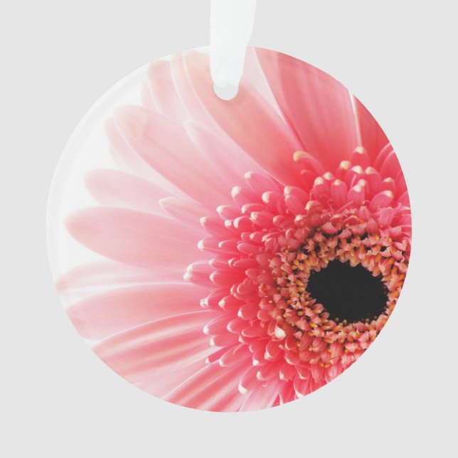 Adorno Margarita Gerbera  (Anverso)