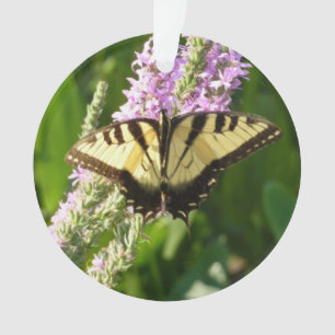Adorno Mariposa Cola de Golondrina en Flores Silvestres P