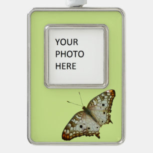 Adorno Mariposa exótica de Santa Lucía