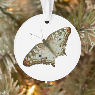 Adorno Mariposa exótica de Santa Lucía