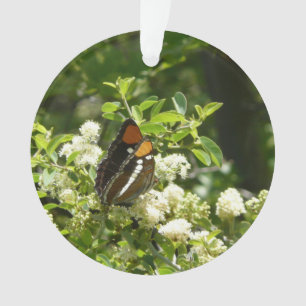 Adorno Mariposa Hermana de California en Yosemite