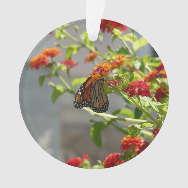 Adorno Mariposa monarca en mariposa roja Bush (Anverso)